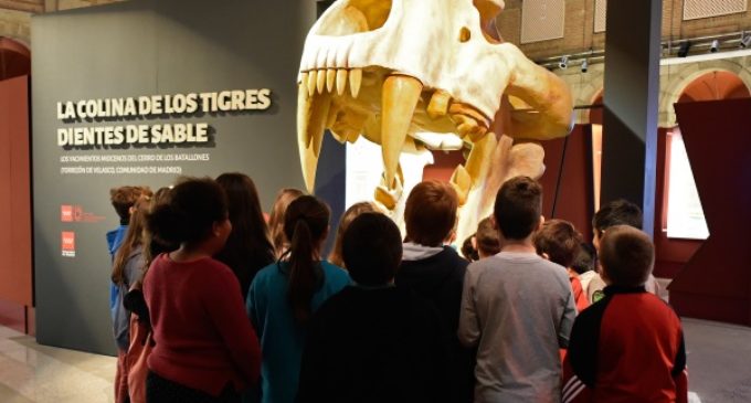 El Museo Arqueológico Regional organiza talleres infantiles sobre los fósiles de la Colina de los Tigres dientes de sable