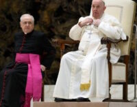 El Papa en la catequesis: Pidamos la gracia de un corazón pastoral que “sufre y arriesga”