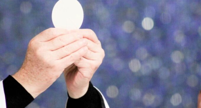 El Por Qué de la JMJ: ‘¡Proclamen desde los techos!’