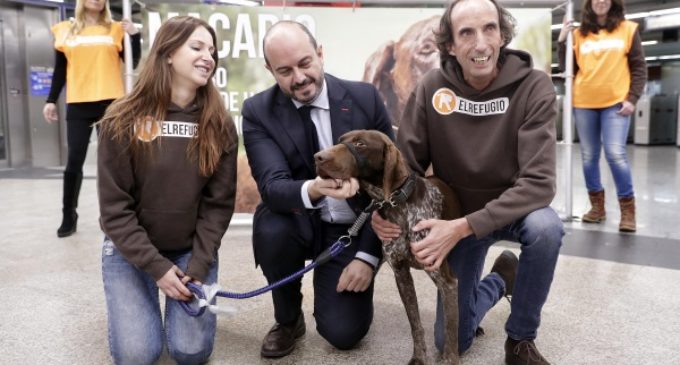 La Comunidad apoya a El Refugio en su labor para promocionar la adopción de animales abandonados