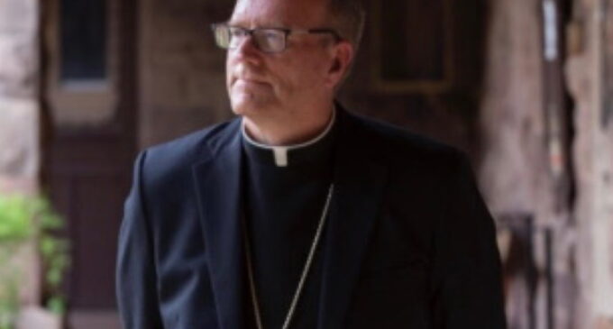 Entrevista exclusiva con Mons. Robert Barron sobre su libro “Carta a una Iglesia que Sufre” y la crisis del abuso en la Iglesia