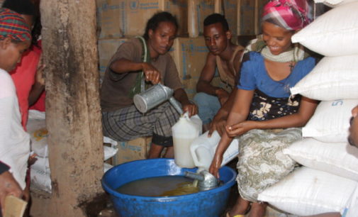 Eritrea prioriza acabar con la labor social de la Iglesia