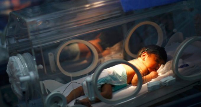 Un estudio desvela que la gestación subrogada afecta a la salud del bebé y la gestante