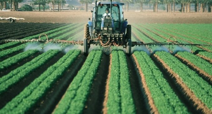 FAO: Discurso de Monseñor Chica Arellano sobre ‘Migración, Agricultura y Desarrollo Rural’