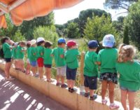Casi 12.000 personas participaron en 2018 en el Programa de Educación Ambiental de GREFA
