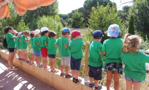 Casi 12.000 personas participaron en 2018 en el Programa de Educación Ambiental de GREFA