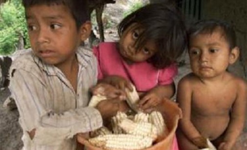Manos Unidas reclama Seguridad Alimentaria para lograr una vida saludable, especialmente de los más vulnerables