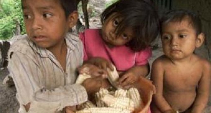 Manos Unidas reclama Seguridad Alimentaria para lograr una vida saludable, especialmente de los más vulnerables