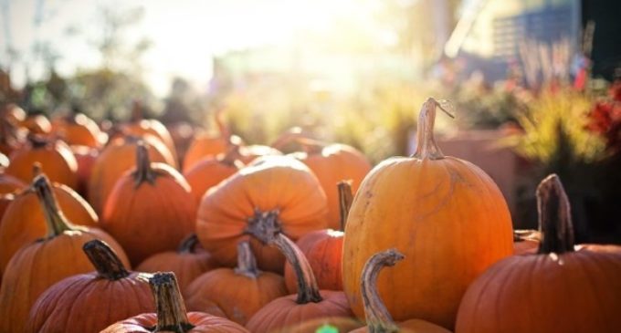 Enrique Soros: “Halloween… ¿Demonizar o participar?”