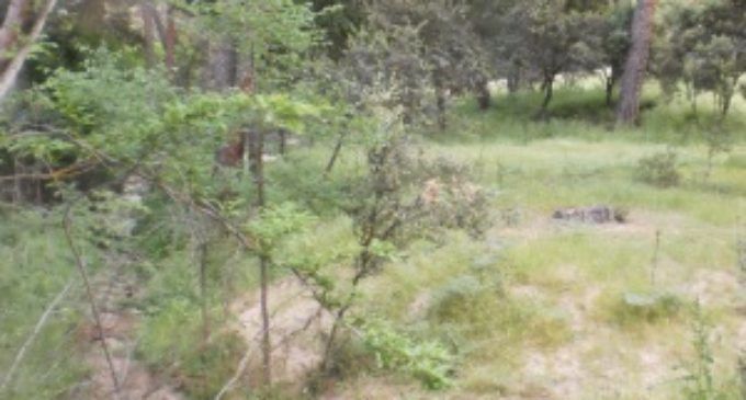 IU presenta en Majadahonda alegaciones contra el desarrollo urbanístico de Arco de Poniente