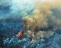 Consejo Episcopal Latinoamericano: Los incendios del Amazonas, una tragedia de “proporciones planetarias”