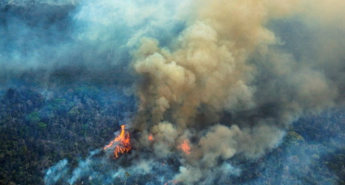 Consejo Episcopal Latinoamericano: Los incendios del Amazonas, una tragedia de “proporciones planetarias”