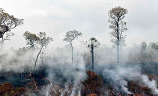 Incendios en la Amazonía: Los obispos de Bolivia piden acciones solidarias y efectivas