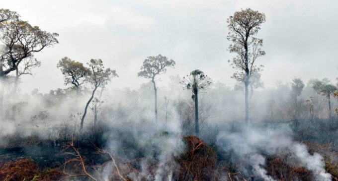 Incendios en la Amazonía: Los obispos de Bolivia piden acciones solidarias y efectivas