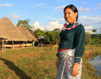 Jovita Sánchez: La docente shipiba que hace historia