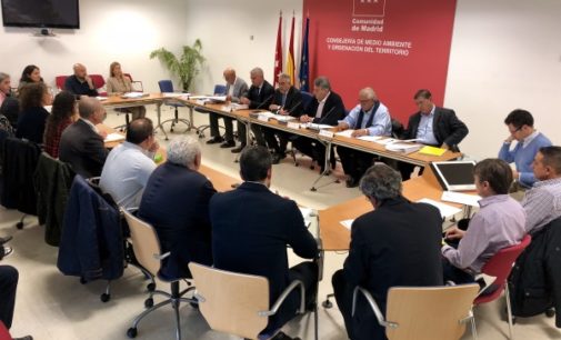 La Comunidad confirma los buenos resultados del plan de actuación contra la Xylella fastidiosa