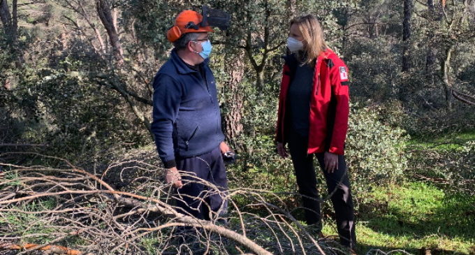 La Comunidad de Madrid actuará sobre más de 600 hectáreas de 31 municipios dañadas por la borrasca Filomena