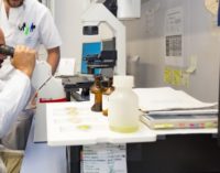 La Comunidad de Madrid es la región que consume menos agua embotellada de España