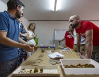 La Comunidad de Madrid fomenta la conservación del Patrimonio entre los jóvenes