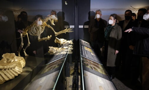 La Comunidad de Madrid inaugura una nueva sala de paleontología en el Museo Arqueológico Regional