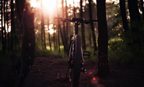 La Comunidad de Madrid invita a conocer las mejores rutas de cicloturismo sin salir de casa