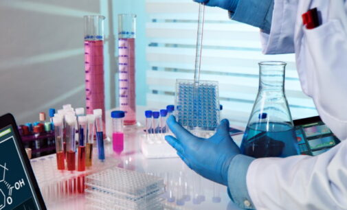 El Instituto de Estudios Avanzados de la Comunidad de Madrid IMDEA Nanociencia, lidera un proyecto contra el cáncer de páncreas que comienza la fase de ensayo clínico
