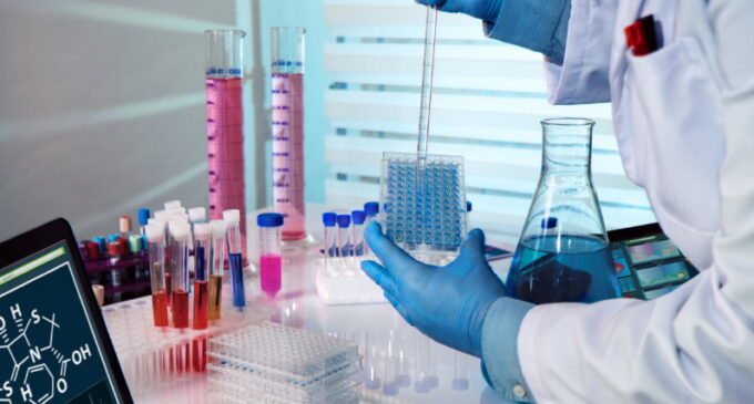 El Instituto de Estudios Avanzados de la Comunidad de Madrid IMDEA Nanociencia, lidera un proyecto contra el cáncer de páncreas que comienza la fase de ensayo clínico