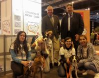 La Comunidad de Madrid promueve la adopción responsable de animales de compañía en la Feria 100×100 Mascota