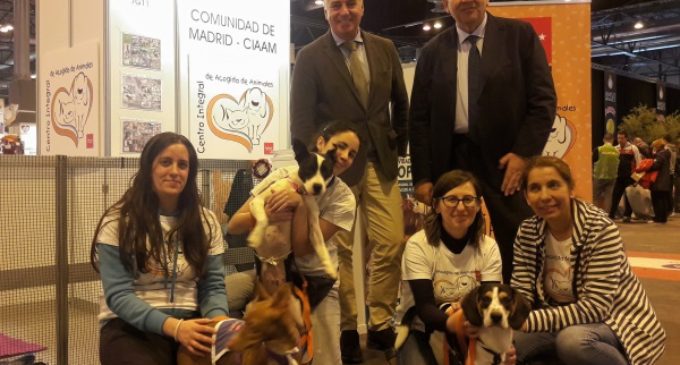 La Comunidad de Madrid promueve la adopción responsable de animales de compañía en la Feria 100×100 Mascota