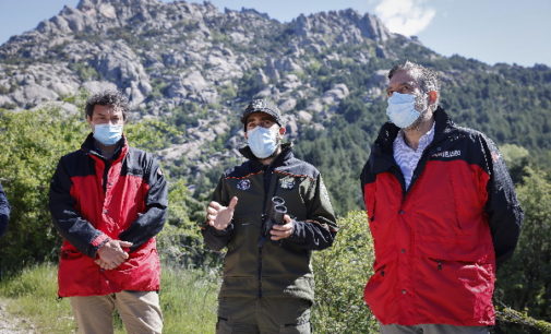 La Comunidad de Madrid protege el entorno natural de la Pedriza y logra 100 nuevas crías de buitre leonado a lo largo del último año
