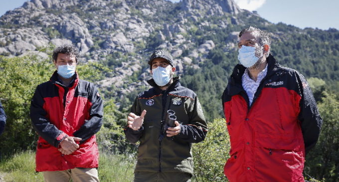 La Comunidad de Madrid protege el entorno natural de la Pedriza y logra 100 nuevas crías de buitre leonado a lo largo del último año