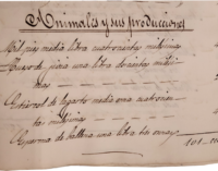La Comunidad de Madrid publica en su Portal de Archivos el catálogo virtual De boticas, sanadores y remedios