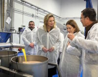 La Comunidad espera que la UE reconozca esta primavera al aceite de Madrid como Denominación de Origen Protegida