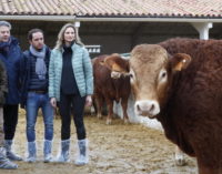 La Comunidad fomenta la calidad de los productos cárnicos a través del testaje de las ganaderías