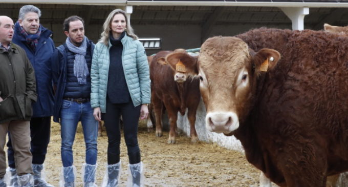 La Comunidad fomenta la calidad de los productos cárnicos a través del testaje de las ganaderías