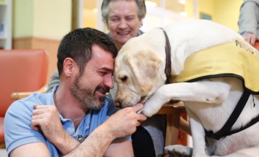 La Comunidad lleva a cabo terapias asistidas con animales para mayores dependientes