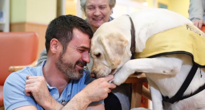 La Comunidad lleva a cabo terapias asistidas con animales para mayores dependientes