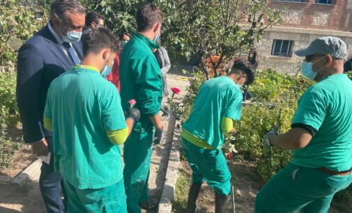 El 90% de los menores infractores en Madrid se reinsertan y 214 consiguen un empleo