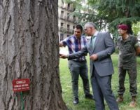 La Comunidad manifiesta su compromiso por el cuidado de los árboles singulares