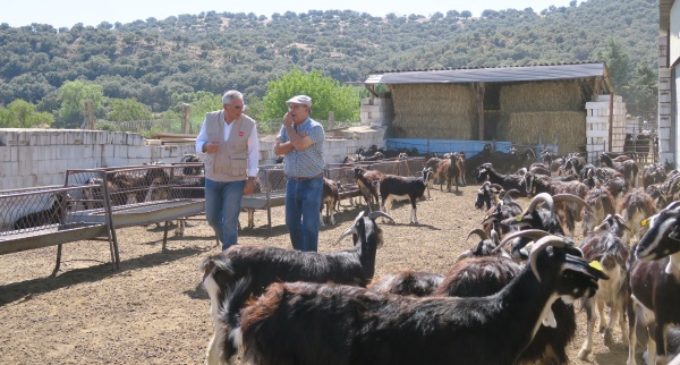 La Comunidad preserva las razas autóctonas en peligro de extinción