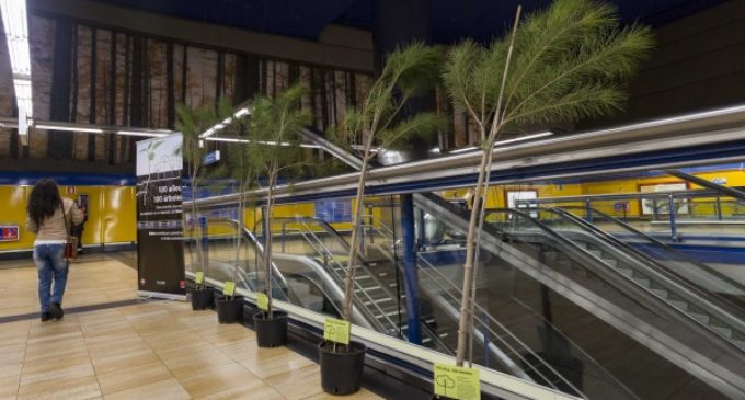 La Comunidad se une al Día de los Bosques con la plantación de 100 nuevos árboles en las instalaciones de Metro