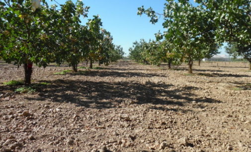 La Comunidad de Madrid lamenta que el Gobierno no haya contado con las organizaciones profesionales agrarias en la elaboración de la nueva PAC