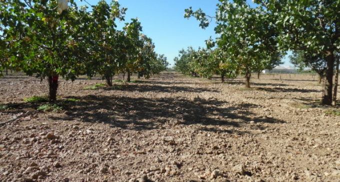 La Comunidad de Madrid lamenta que el Gobierno no haya contado con las organizaciones profesionales agrarias en la elaboración de la nueva PAC
