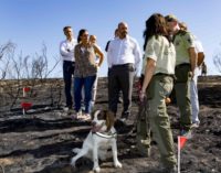 Las Brigadas de Investigación de Incendios Forestales de la Comunidad de Madrid esclarecen 9 de cada 10 de incendios en lo que va de año