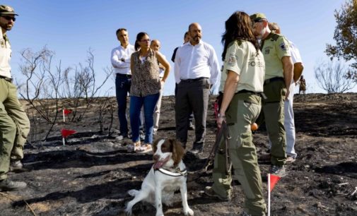 Las Brigadas de Investigación de Incendios Forestales de la Comunidad de Madrid esclarecen 9 de cada 10 de incendios en lo que va de año