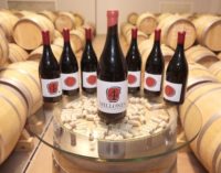 Las ventas de los Vinos de Madrid con Denominación de Origen superaron los 4 millones de botellas en 2017