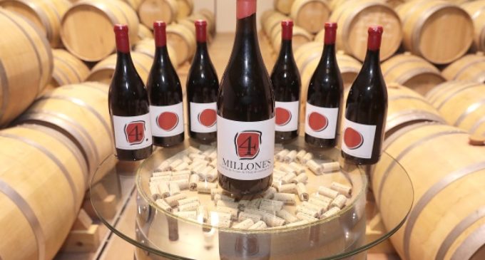 Las ventas de los Vinos de Madrid con Denominación de Origen superaron los 4 millones de botellas en 2017