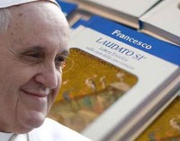 Una visión de conjunto de la encíclica del Papa Francisco Laudato si’ sobre el cuidado de la casa común