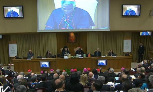 Conferencia de presentación de la encíclica Laudato si’: Una ecología integral
