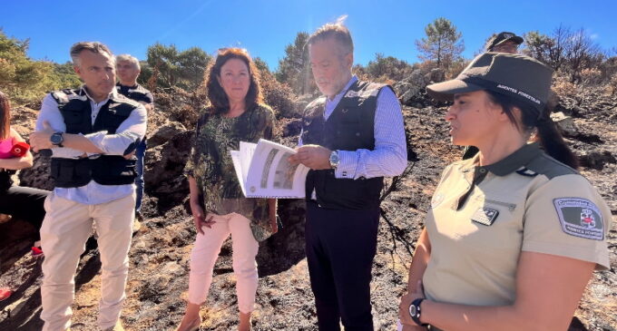 La Comunidad de Madrid esclareció la causa del 86% de los incendios forestales registrados en la región en 2021